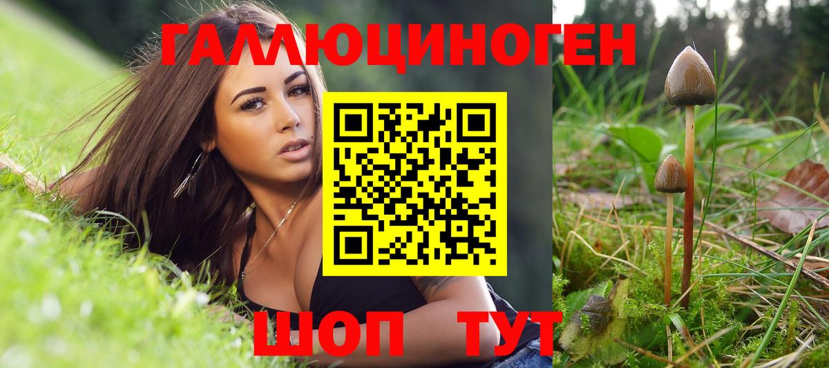 Звенигород  Галлюциногенные грибы Cubensis  Галлюциногенные грибы Psilocybe  Вход с VPN 
